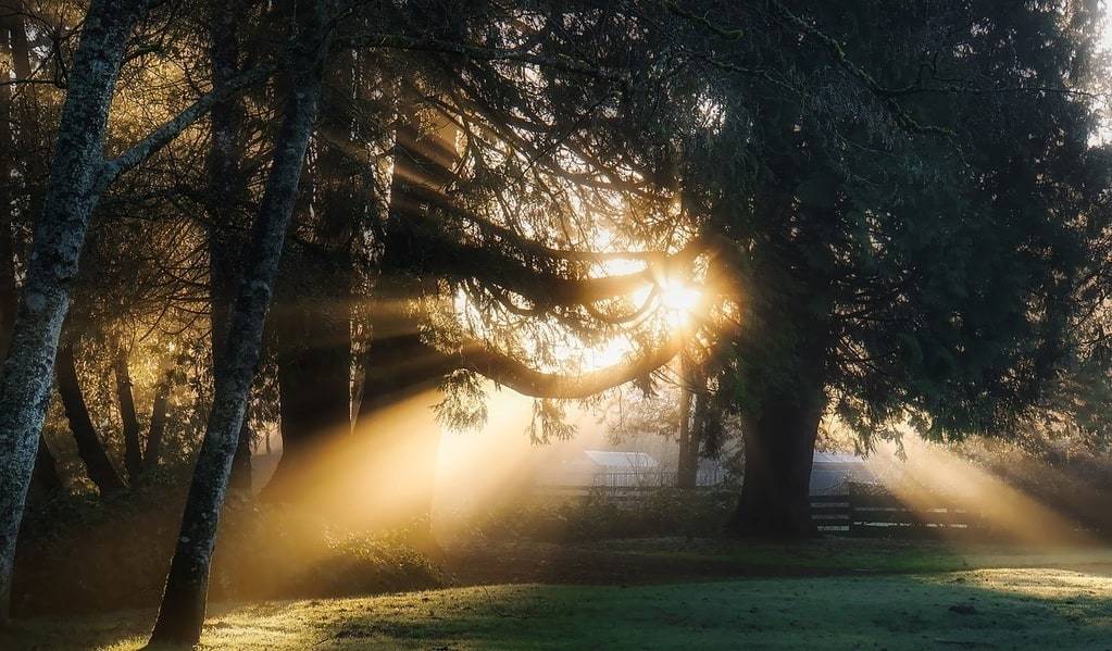Magie des Morgenlichts erfassen